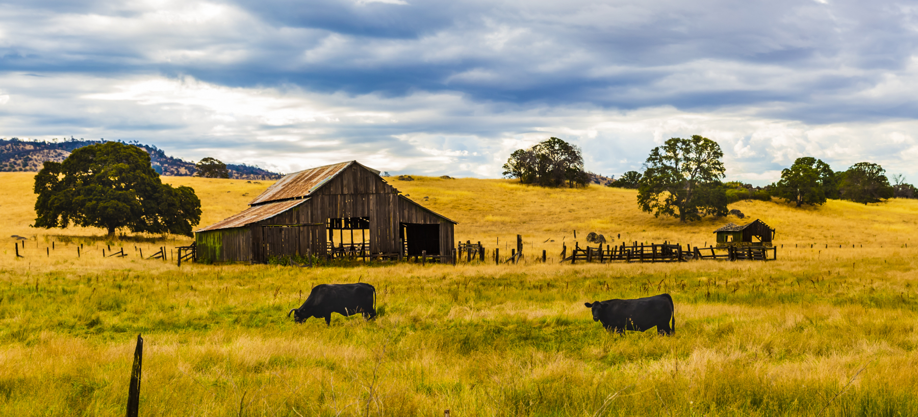 Yosemite landscape