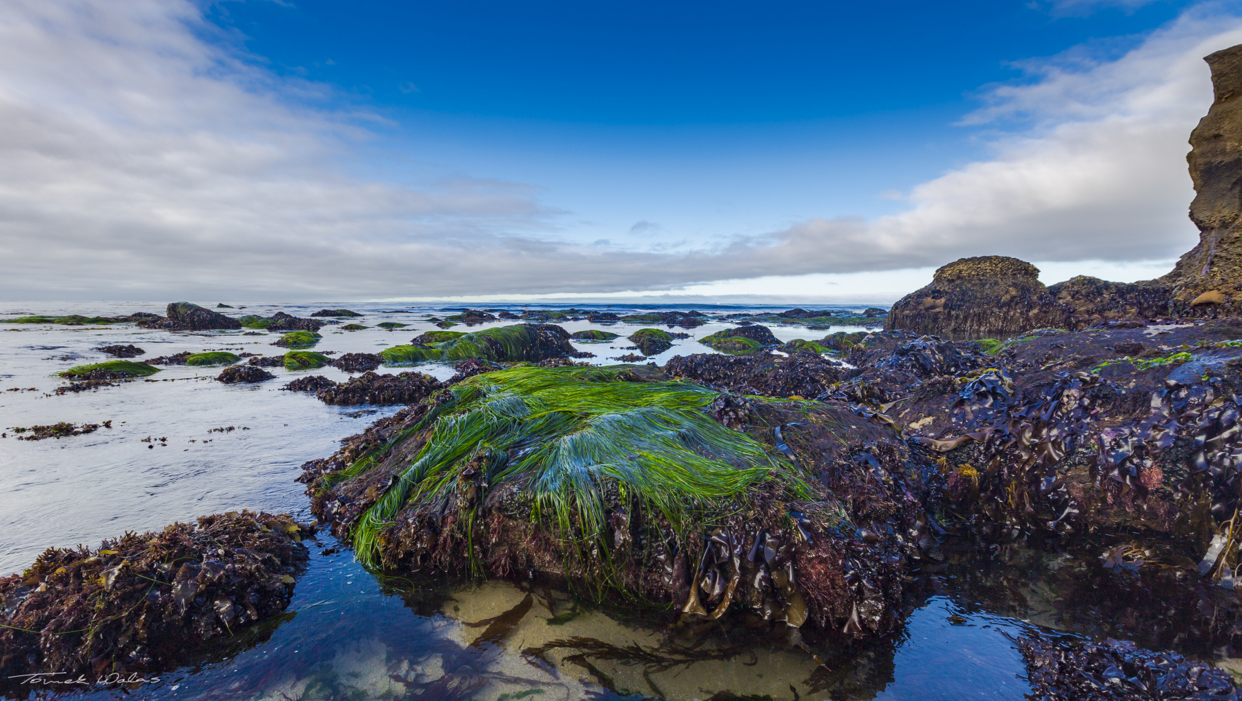 Santa Cruz landscape