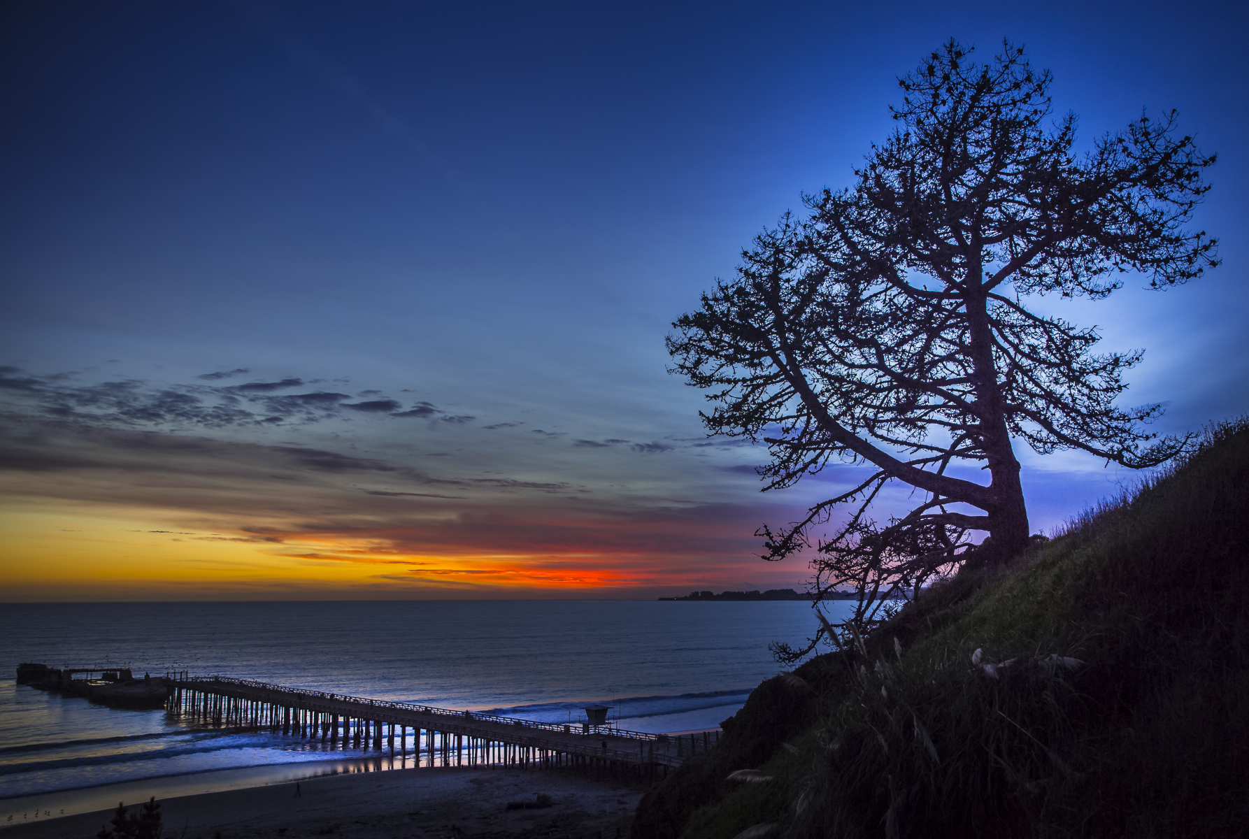 Santa Cruz landscape
